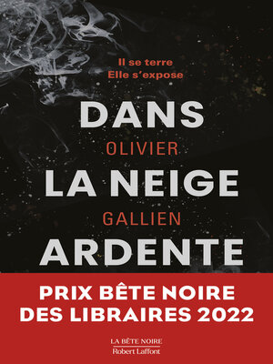 cover image of Dans la neige ardente--Prix Bête noire des Libraires 2022
